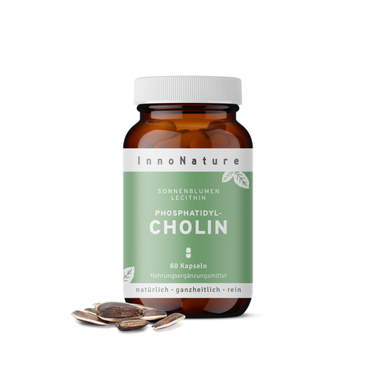  Phosphatidylcholin Kapseln