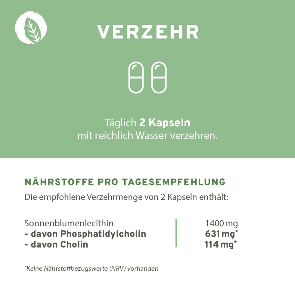 Phosphatidylcholin 60 Kapseln
