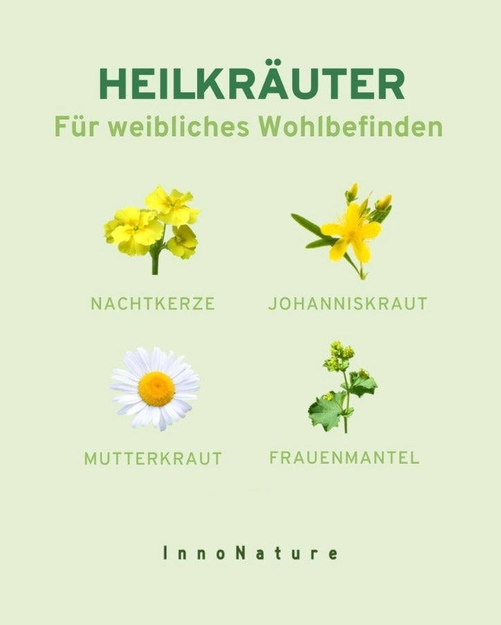 Grafik mit Wildkräutern, die gut für das weibliche Wohlbefinden sind. 