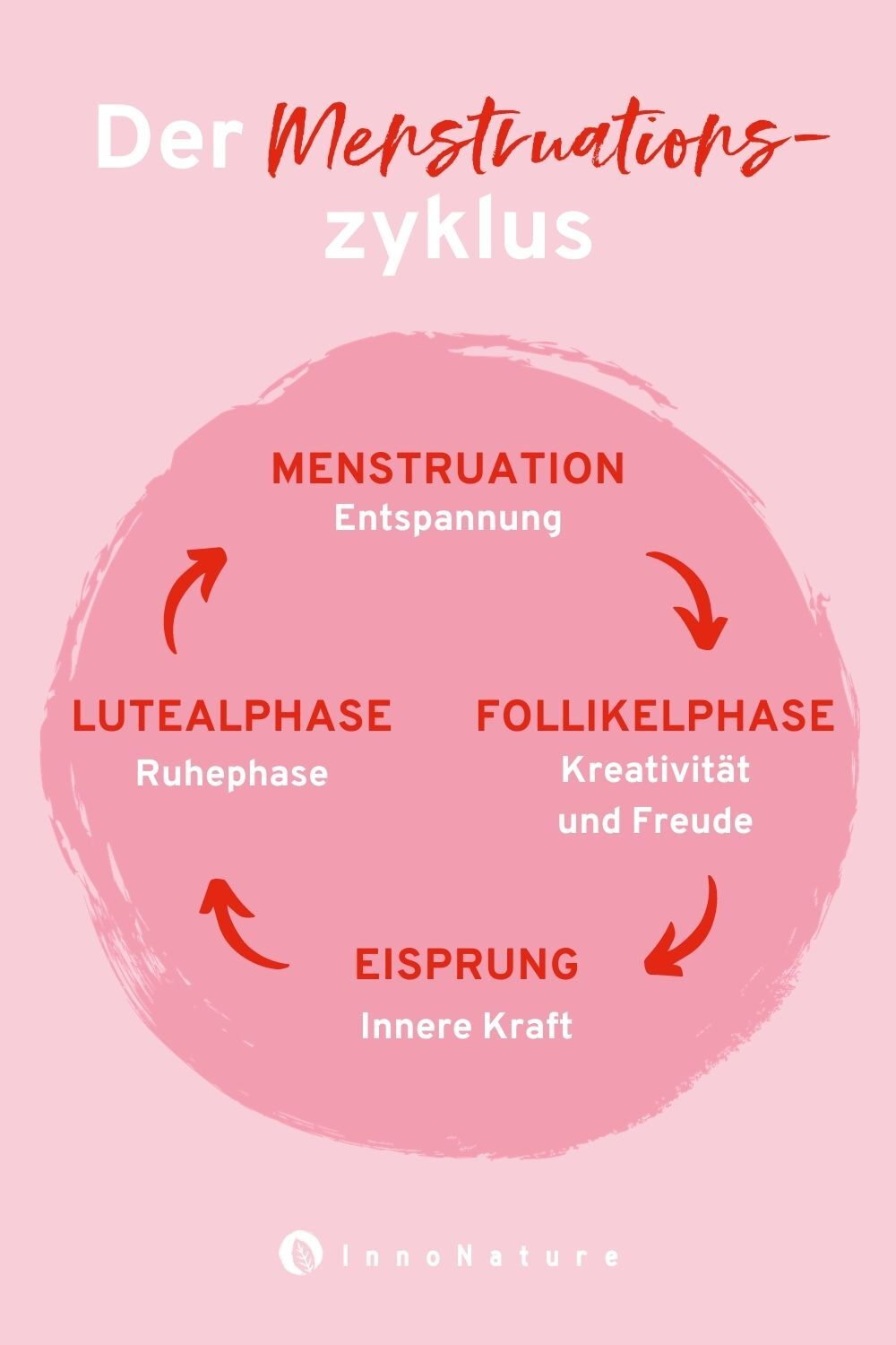 Grafik zum Thema "Der Menstruationszyklus"