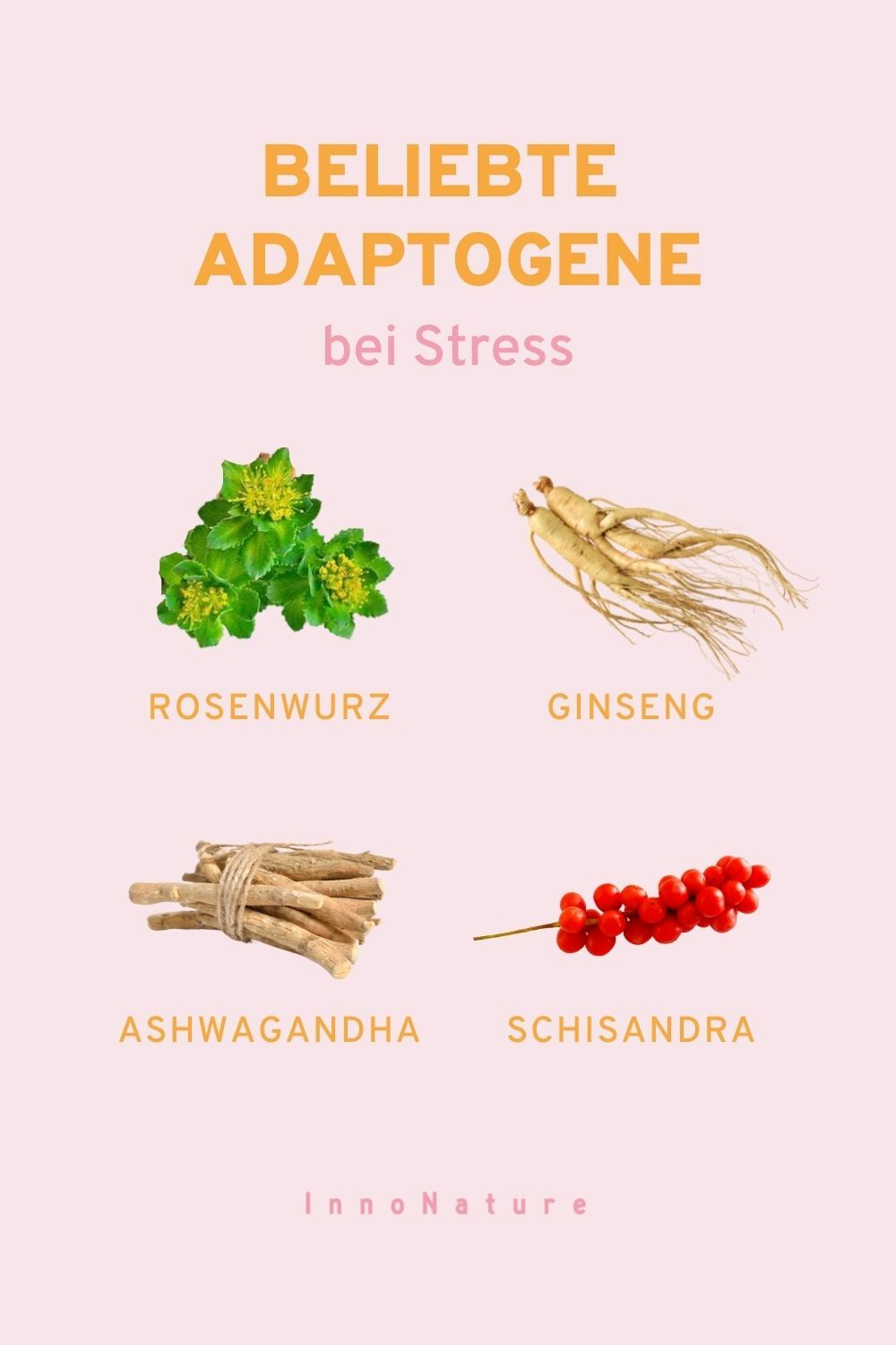 Illustration mit vier unterschiedlichen Adaptogenen.