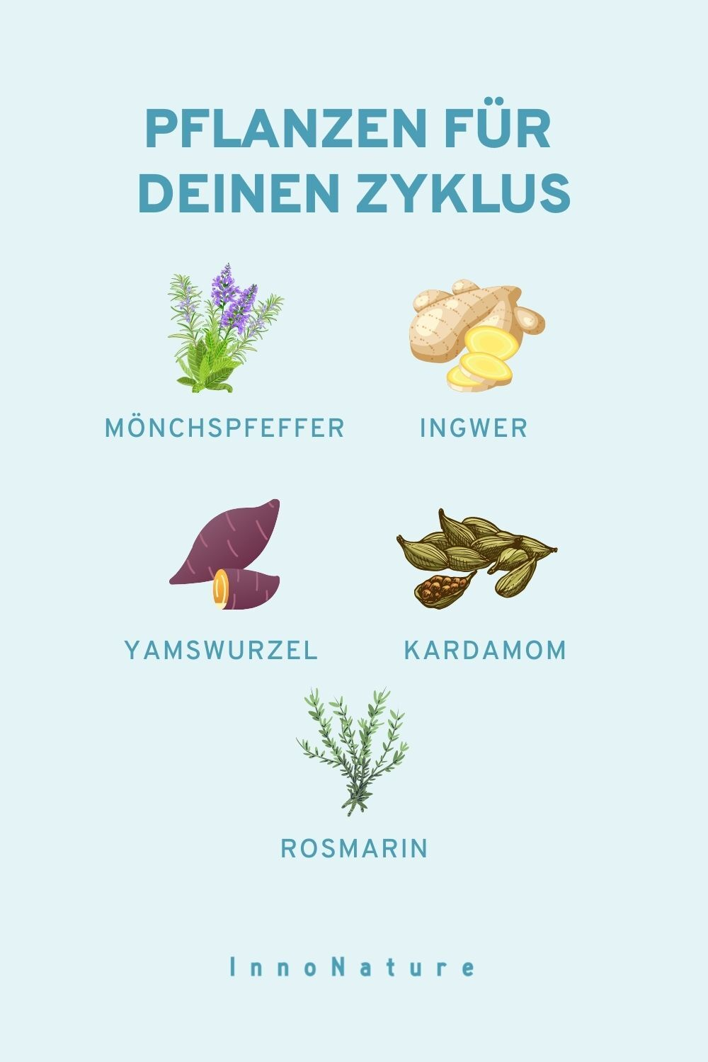 Grafik: Pflanzen für Deinen Zyklus