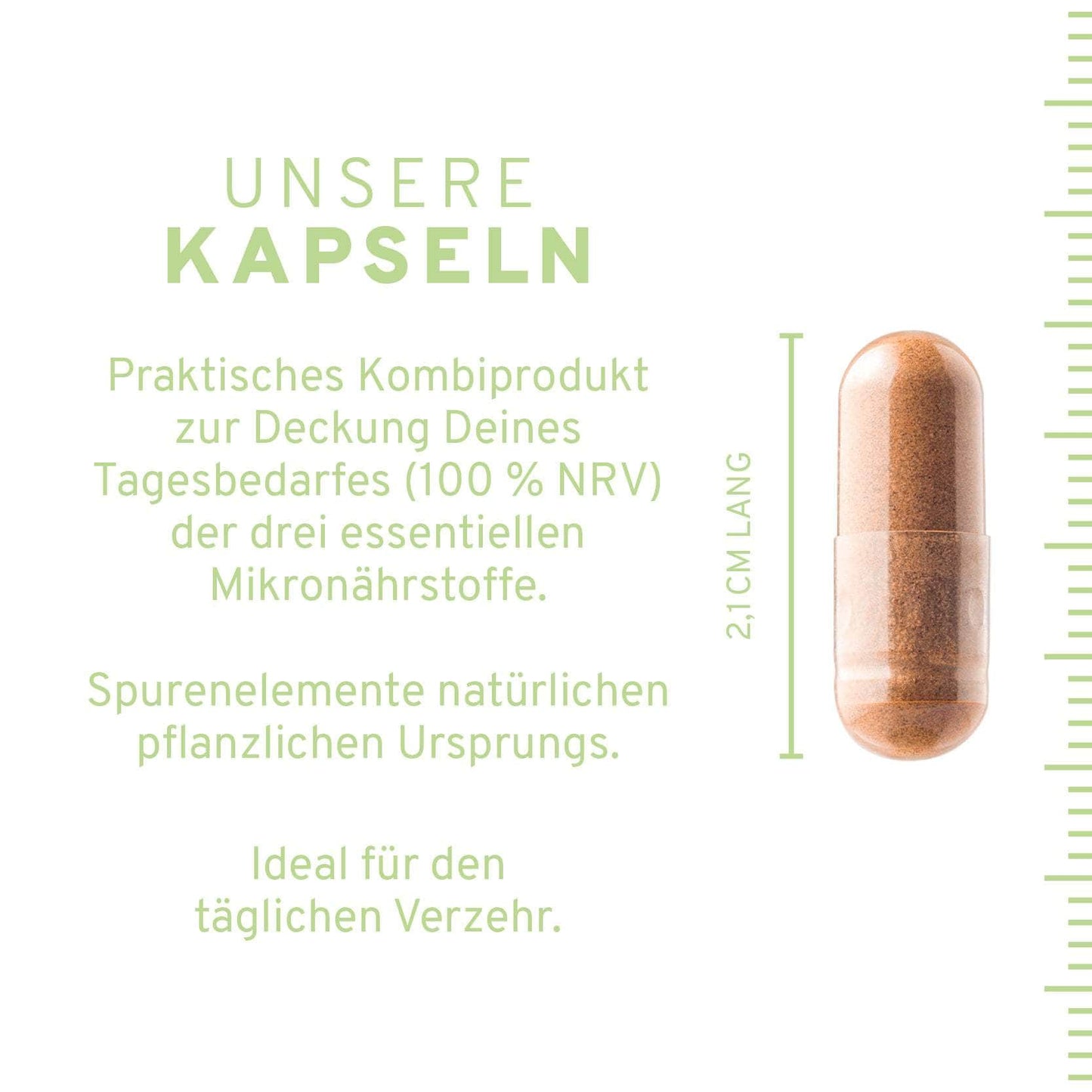 InnoNature Kapseln 1x Monatsvorrat (60 Kapseln) Zink + Kupfer + Mangan 60 Kapseln