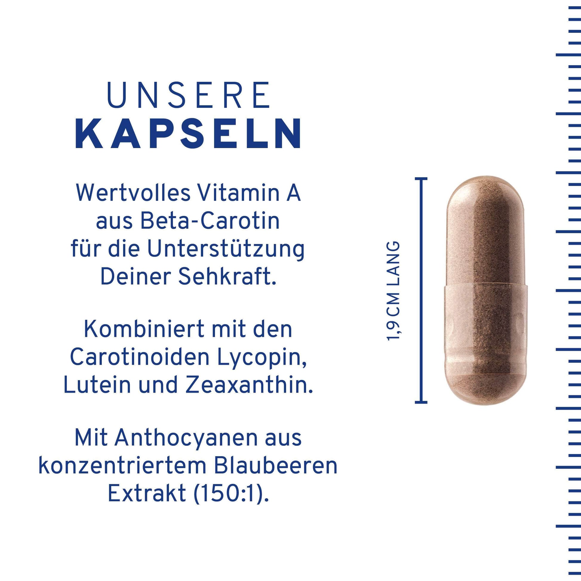 InnoNature Kapseln 1x Zweimonatsvorrat (60 Kapseln) Sehkraft Kapseln