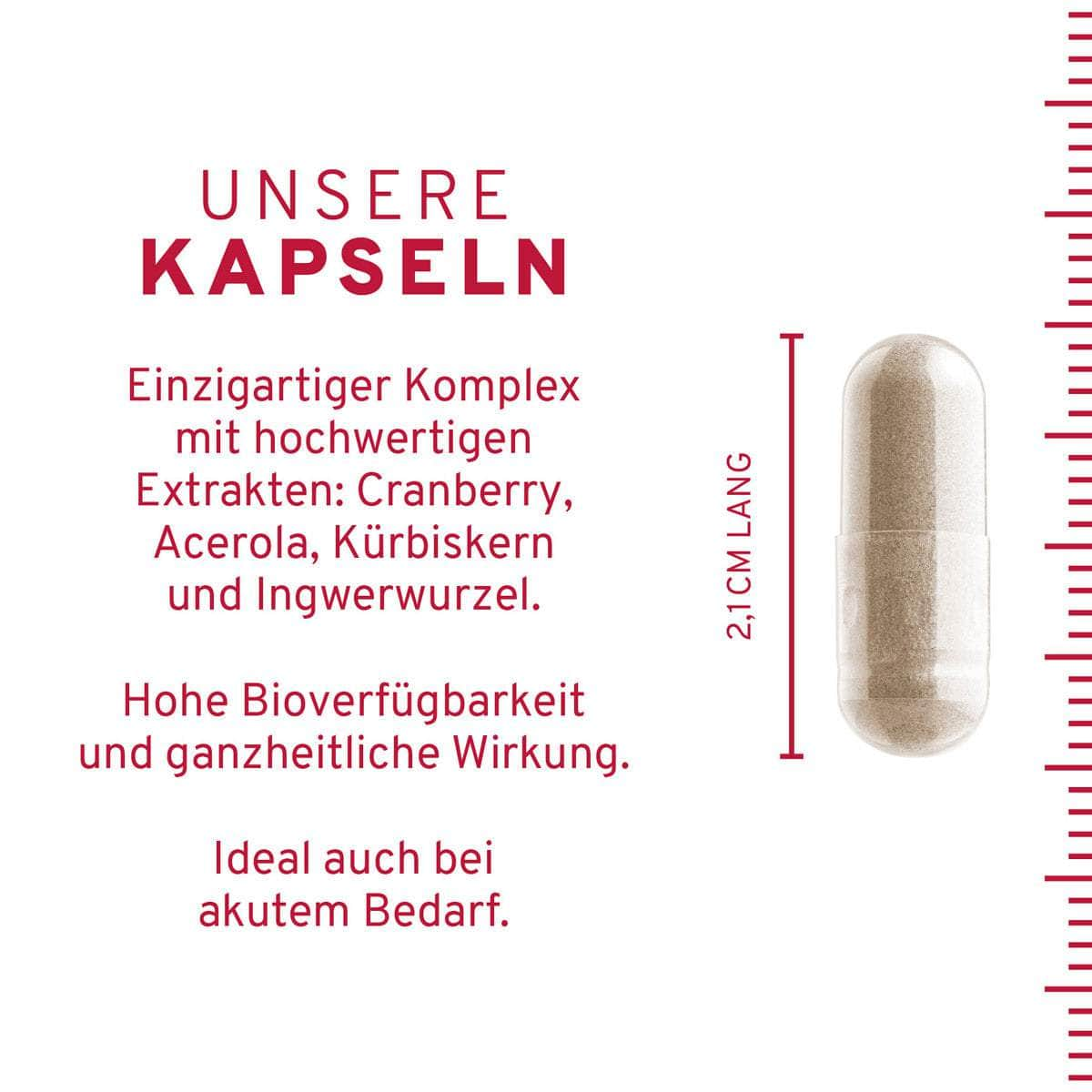 InnoNature Kapseln Cranberry Plus Kapseln