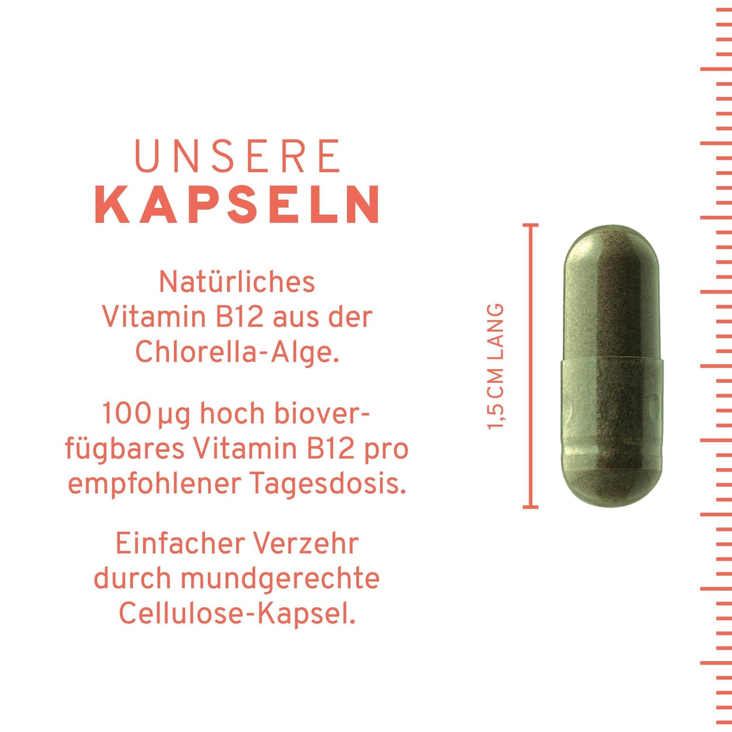 InnoNature Kapseln Vitamin B12 Chlorella 100 µg Kapseln