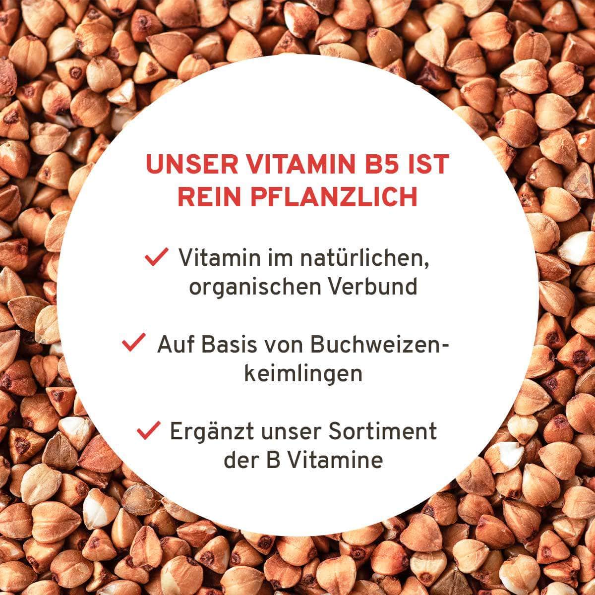 InnoNature Kapseln Vitamin B5 Kapseln: Buchweizenkeimlinge