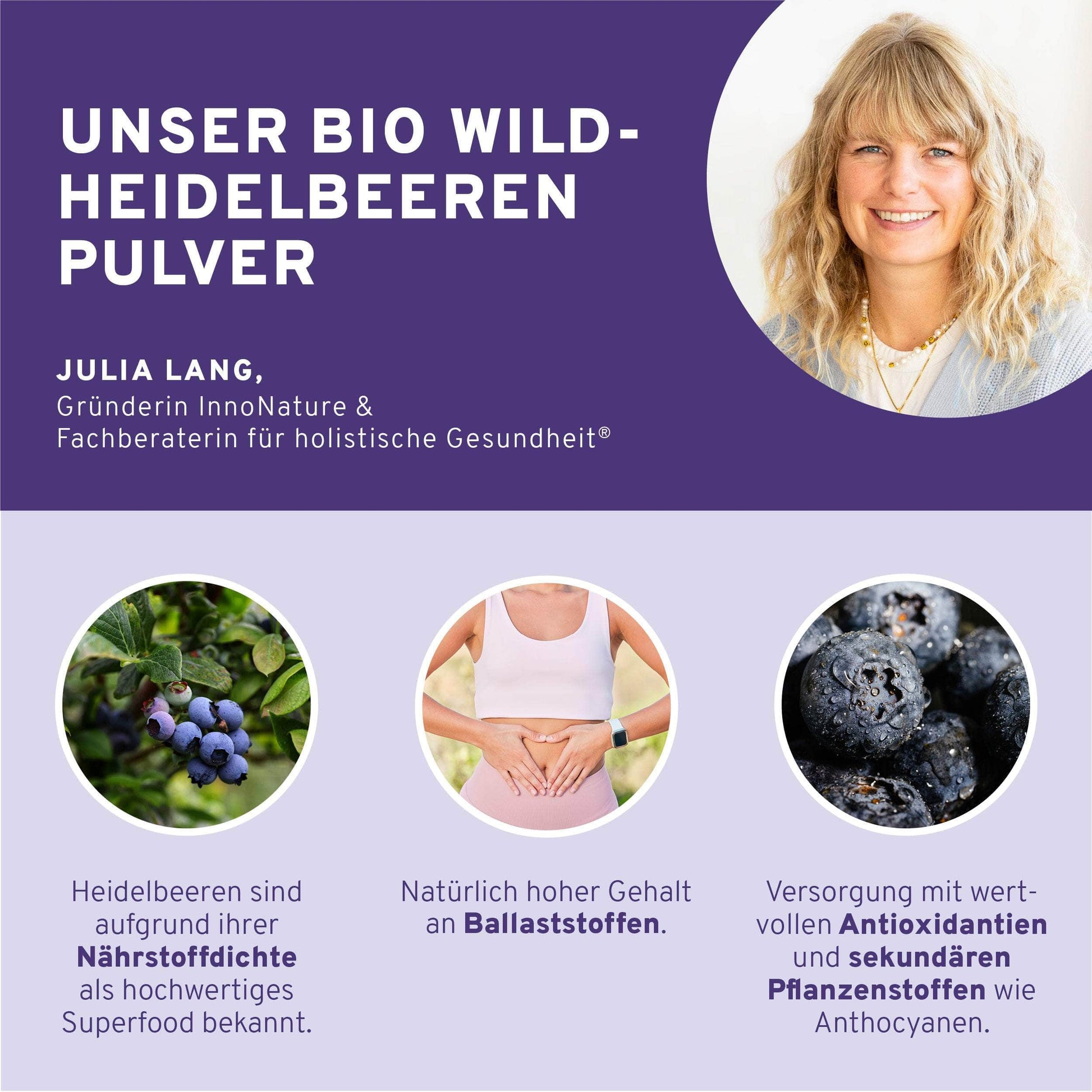 InnoNature Pulver 1x 100g Pulver Bio Wildheidelbeeren