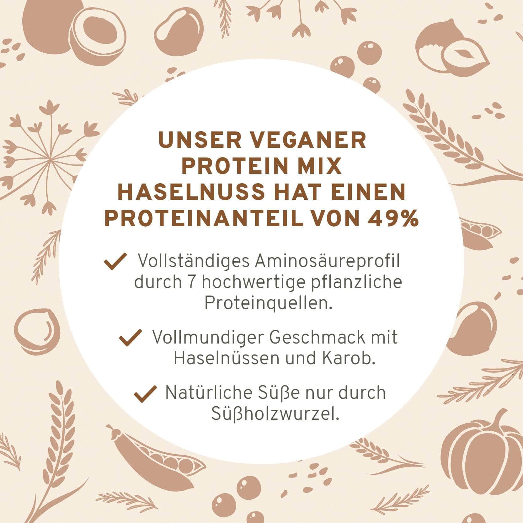 InnoNature Pulver Bio Veganer Protein Mix Haselnuss