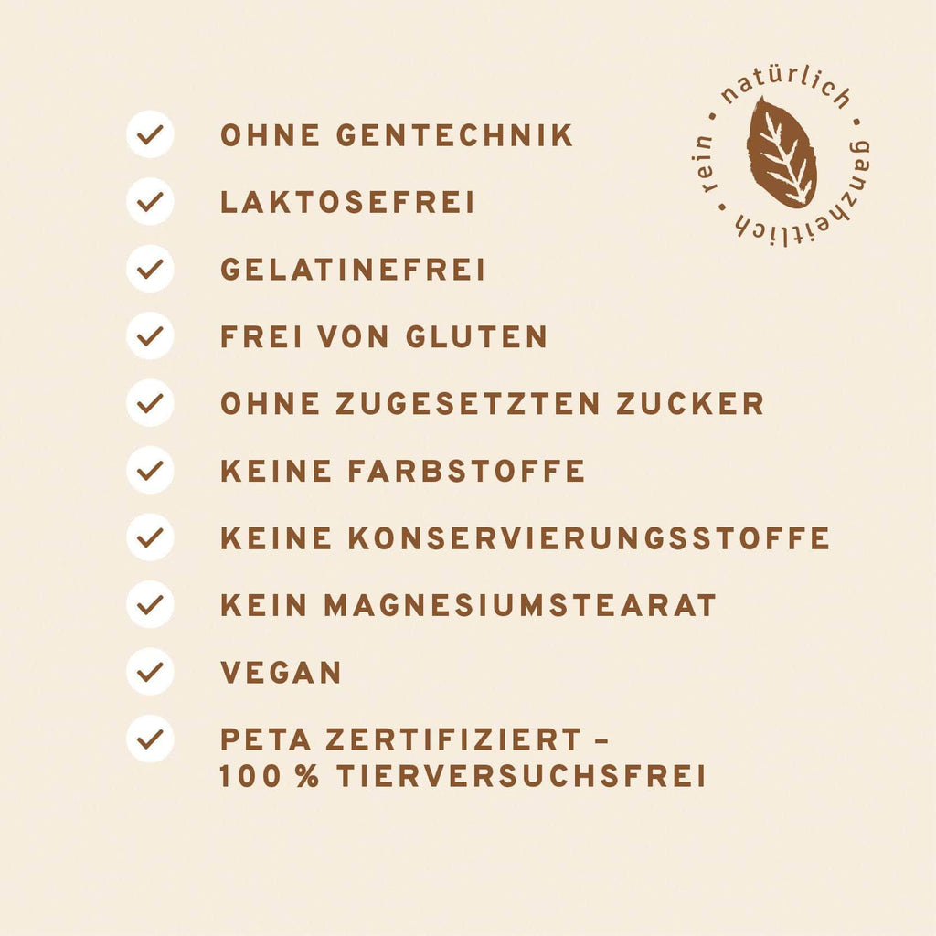 InnoNature Pulver Bio Veganer Protein Mix Haselnuss