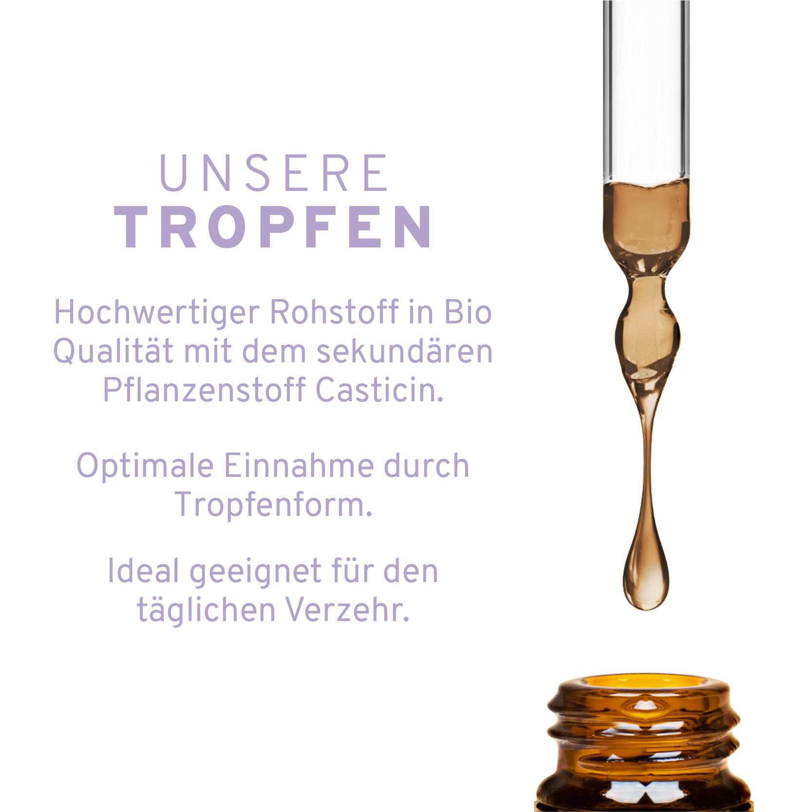 InnoNature Tropfen Bio Mönchspfeffer Tropfen