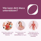 Bio rotes Maca-Extrakt Tropfen 75 ml
