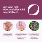 Mönchspfeffer + Vitamin B6 Kapseln