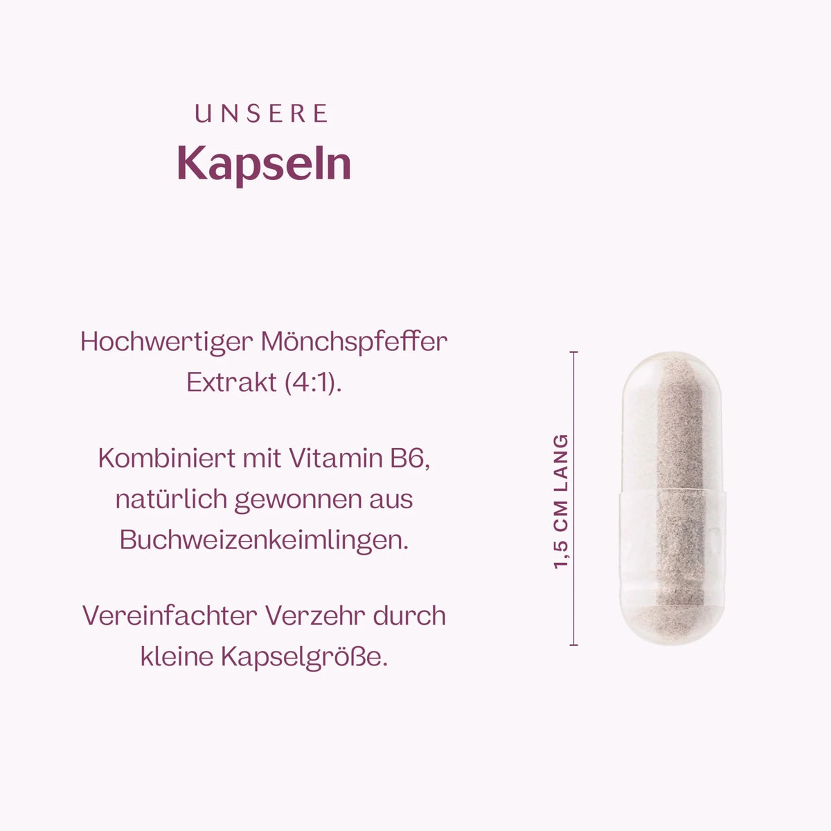 Mönchspfeffer + Vitamin B6 Kapseln
