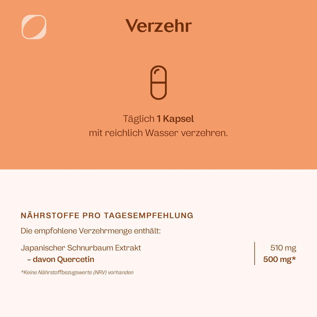 Quercetin 90 Kapseln