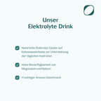 Elektrolyte Drink 225g