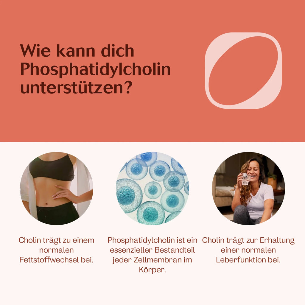 Phosphatidylcholin 60 Kapseln