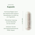 Boswelliasäure: Weihrauch Kapseln
