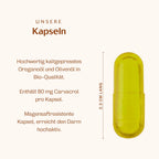 Bio Oreganoöl Kapseln