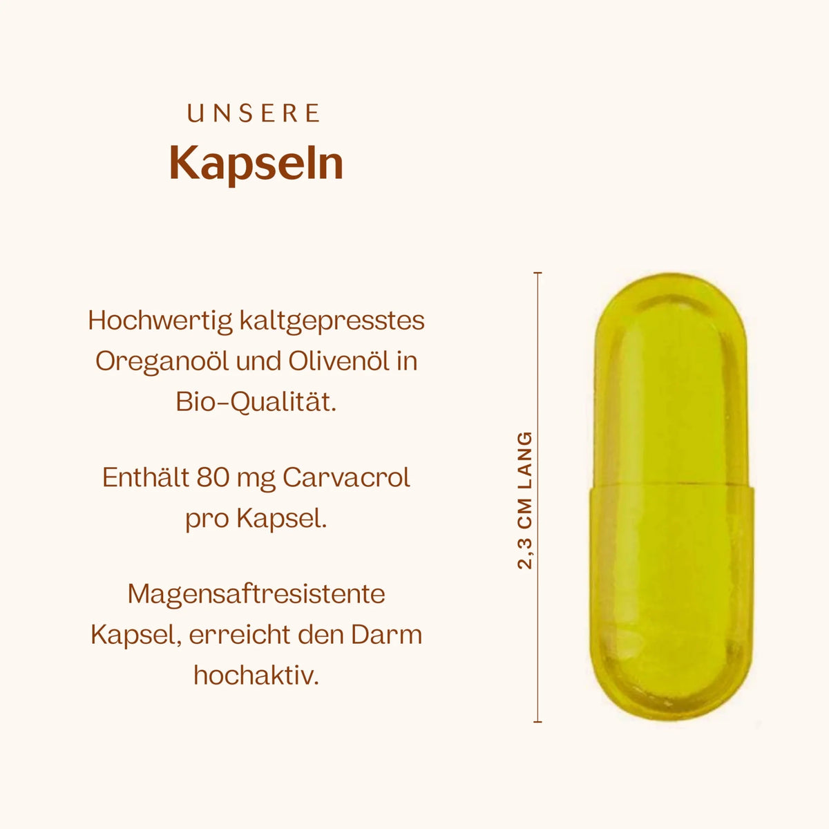 Bio Oreganoöl Kapseln