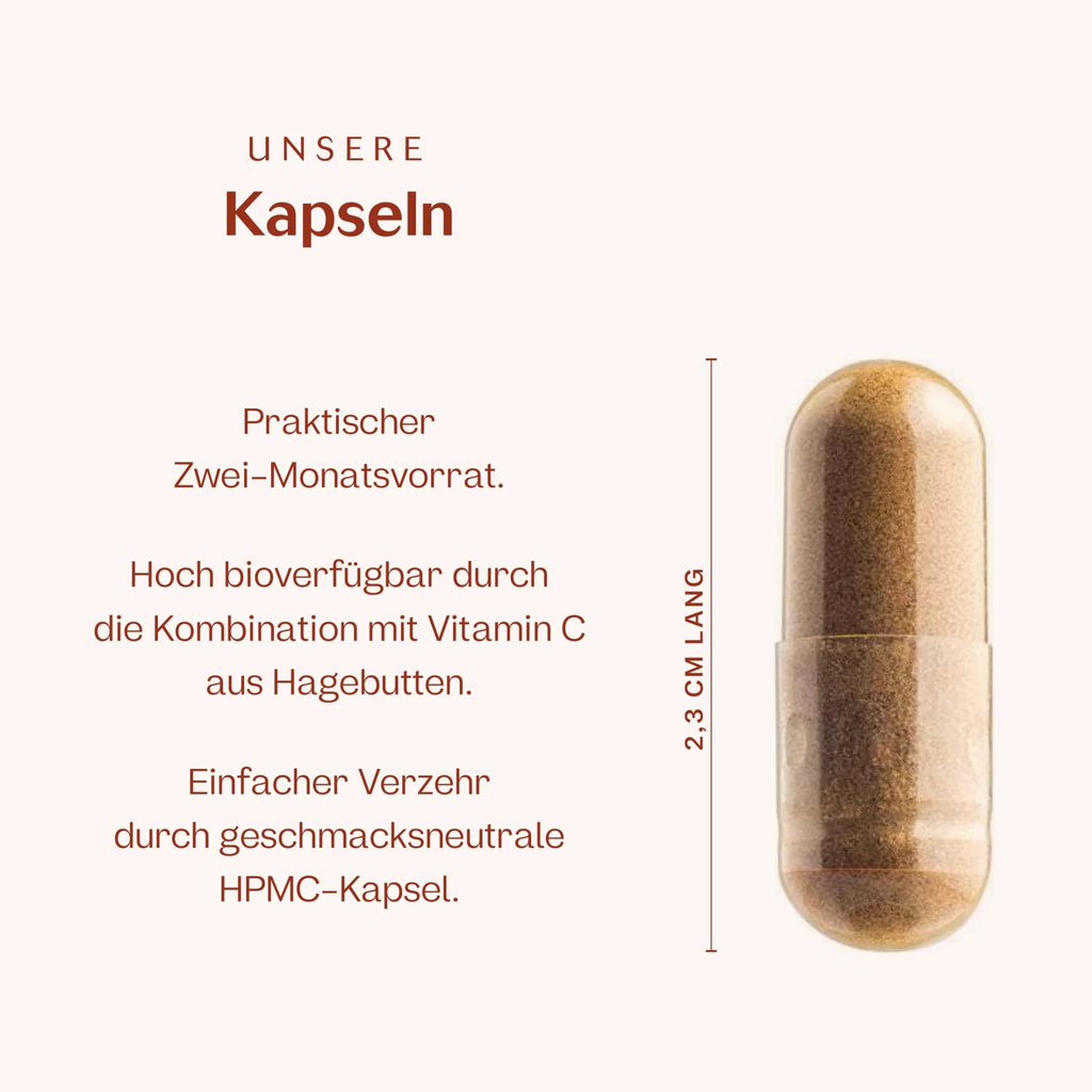 Eisen 120 Kapseln