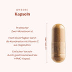 Eisen 120 Kapseln