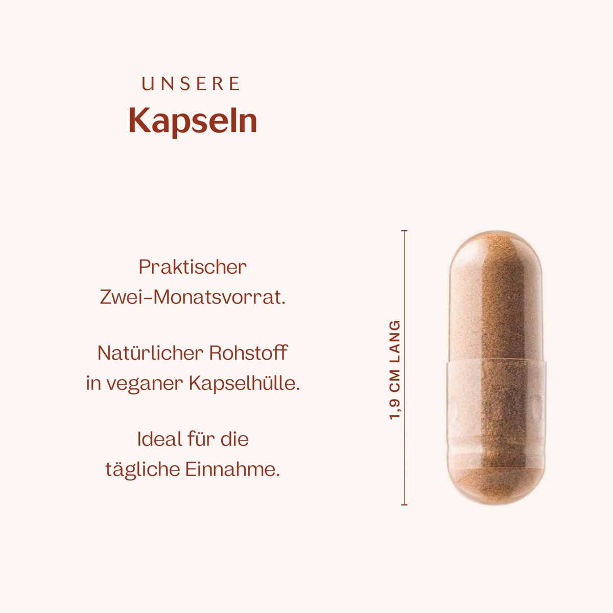 Zink 60 Kapseln