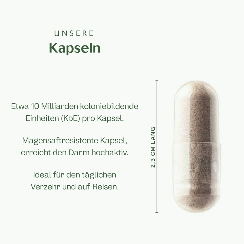 Mikrobiom Flora Kapseln
