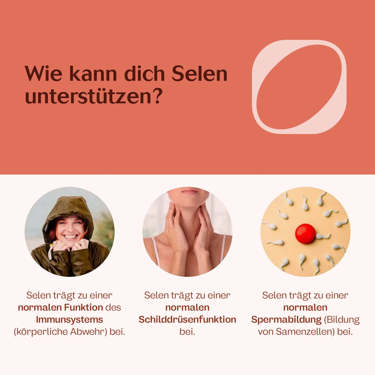 Selen Family Set