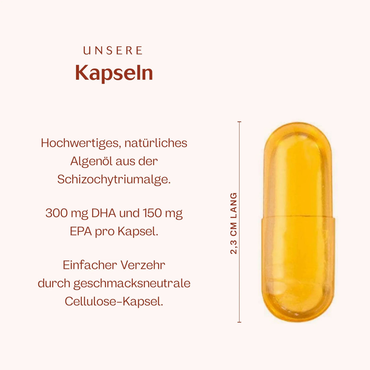 Omega 3 2:1 DHA/EPA 60 Kapseln