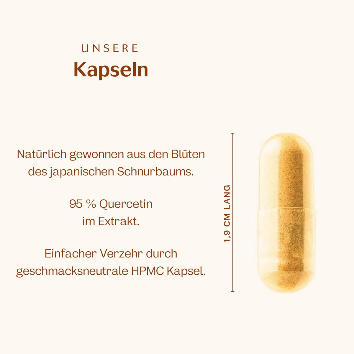 Quercetin 90 Kapseln