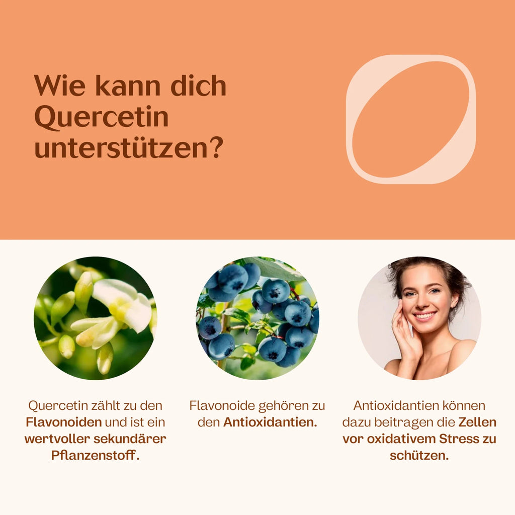 Quercetin 90 Kapseln