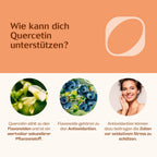 Quercetin 90 Kapseln