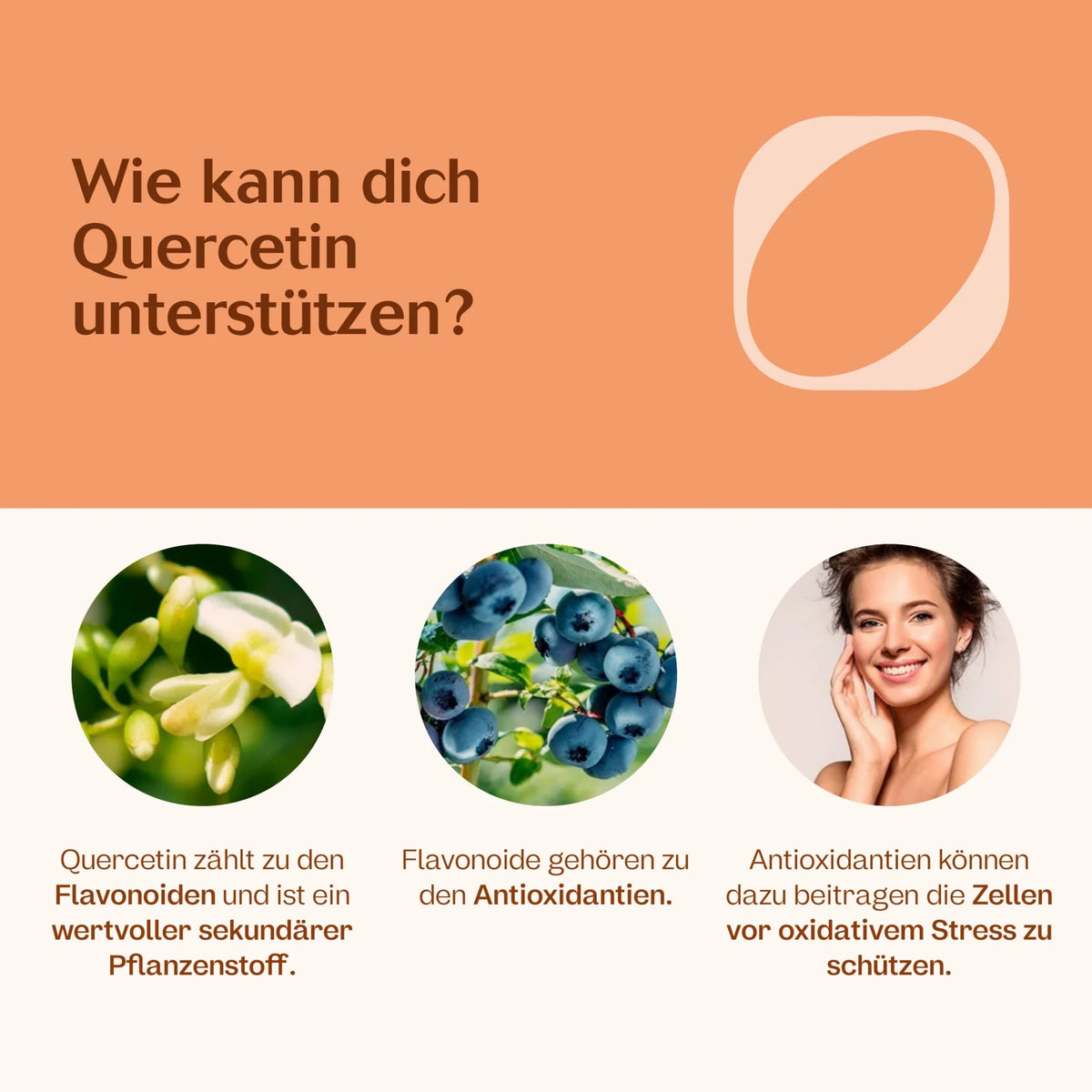 Quercetin 90 Kapseln