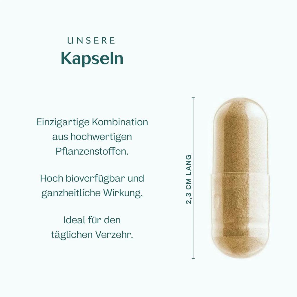 Stoffwechsel Plus Kapseln