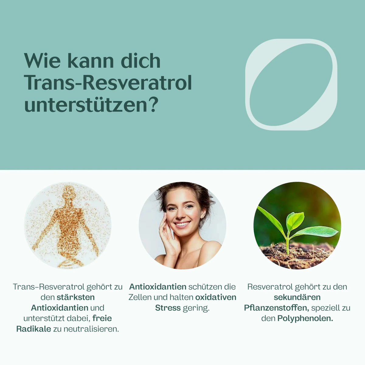 Trans-Resveratrol Kapseln