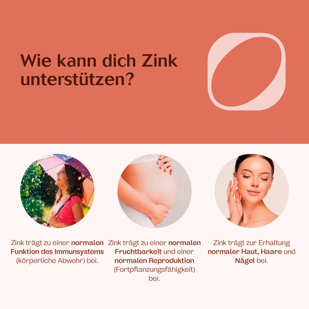 Stoffwechsel-Paket