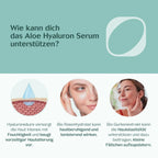 Hydro Face Paket