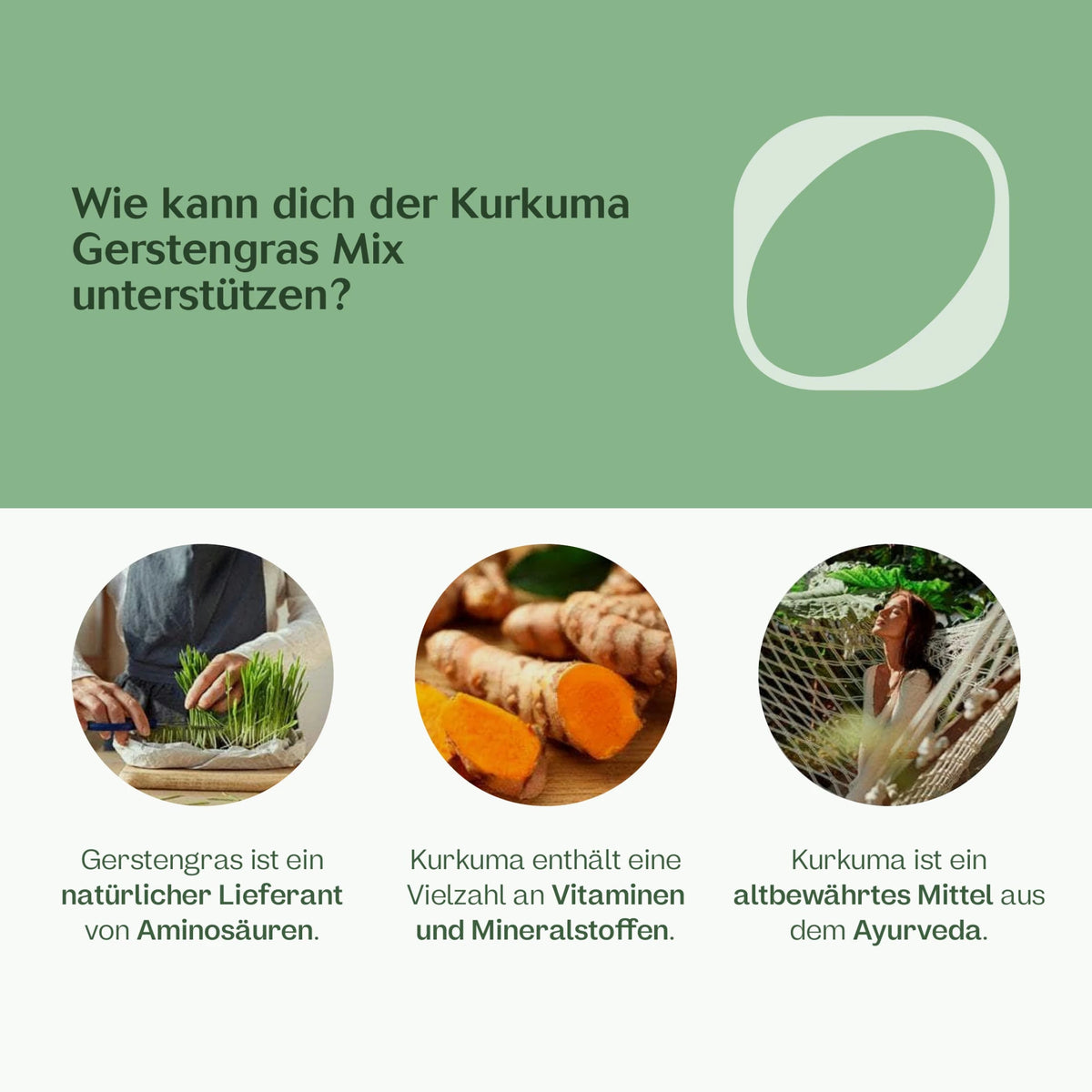 Bio Kurkuma Gerstengras Mix Superfood