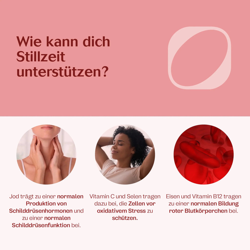 Stillzeit 180 Kapseln