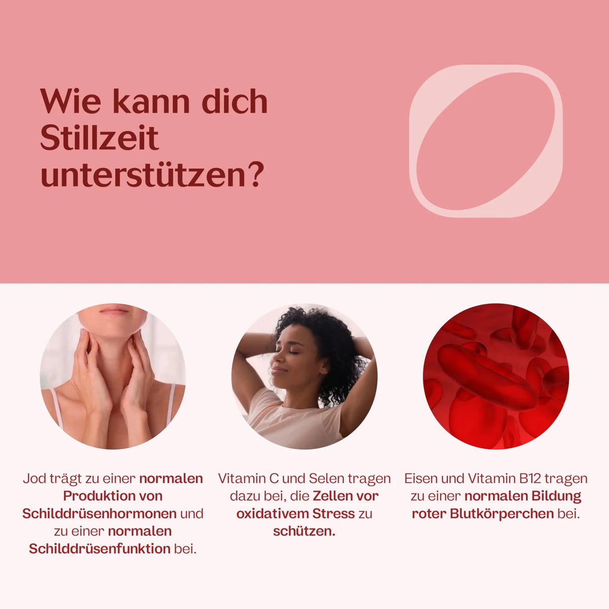 Stillzeit 180 Kapseln