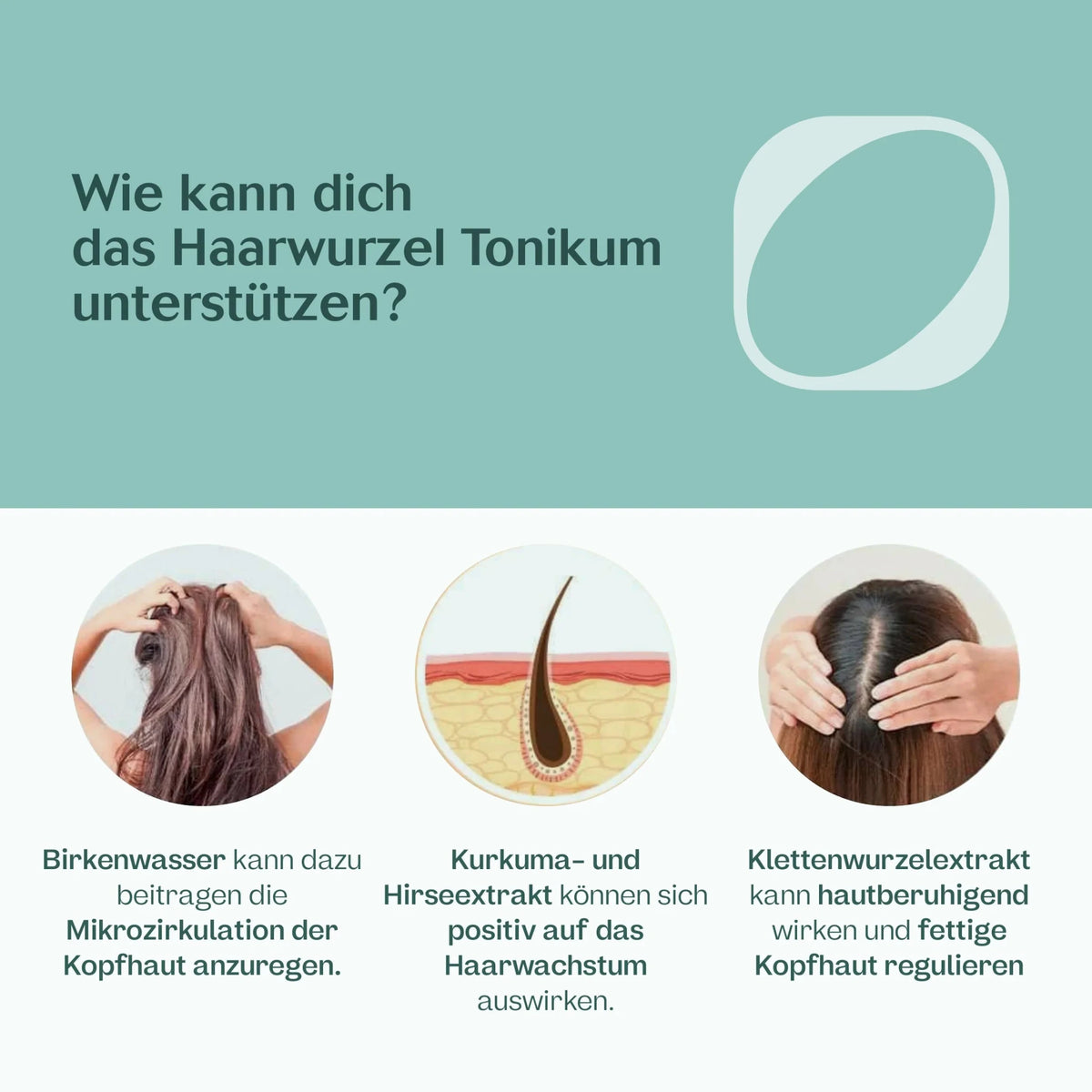 Haarwurzel Tonikum