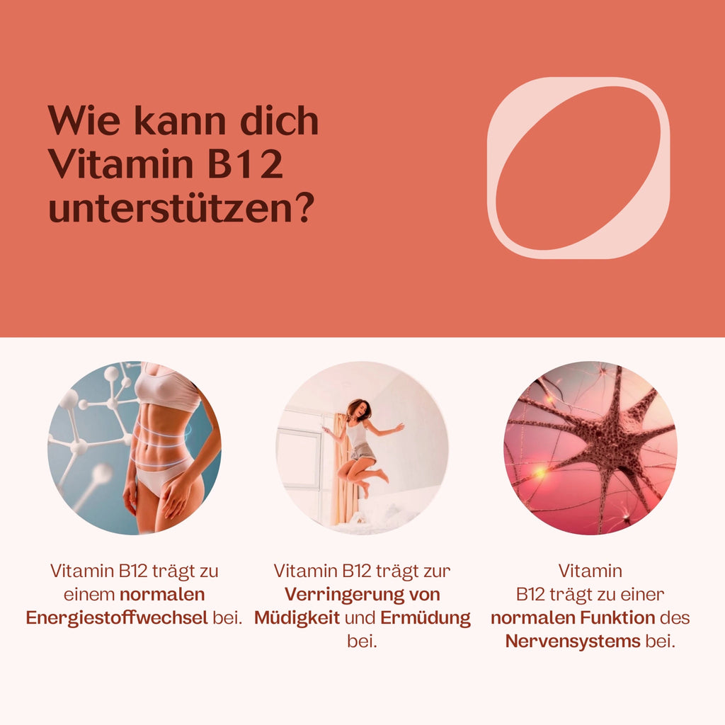 Vegan-Starter-Paket