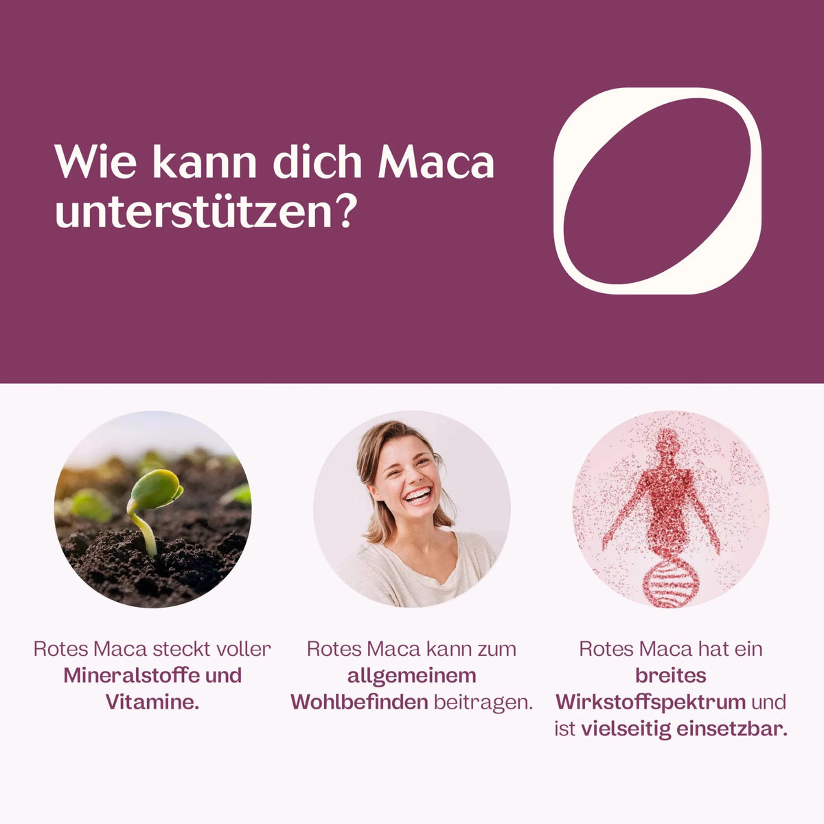 Frauen-Kinderwunsch-Paket