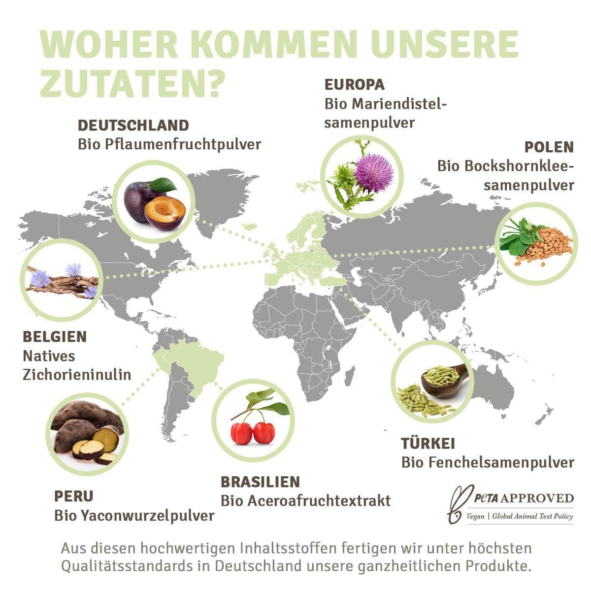 InnoNature Inno Darmkur 3 Tage Probierpackung
