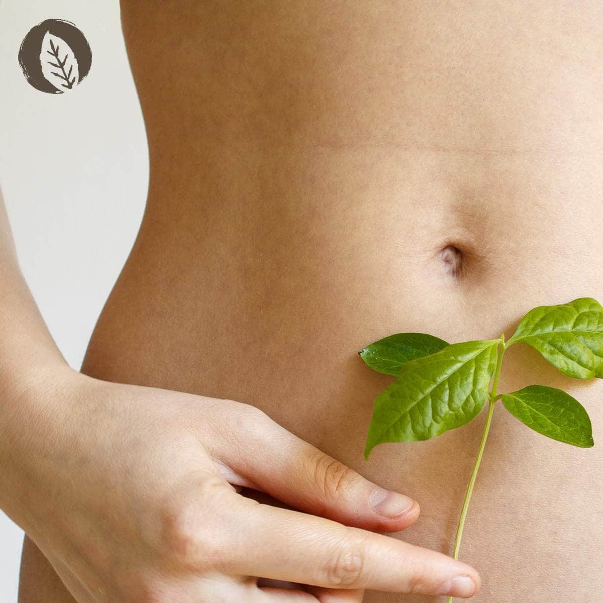InnoNature Inno Darmkur 3 Tage Probierpackung