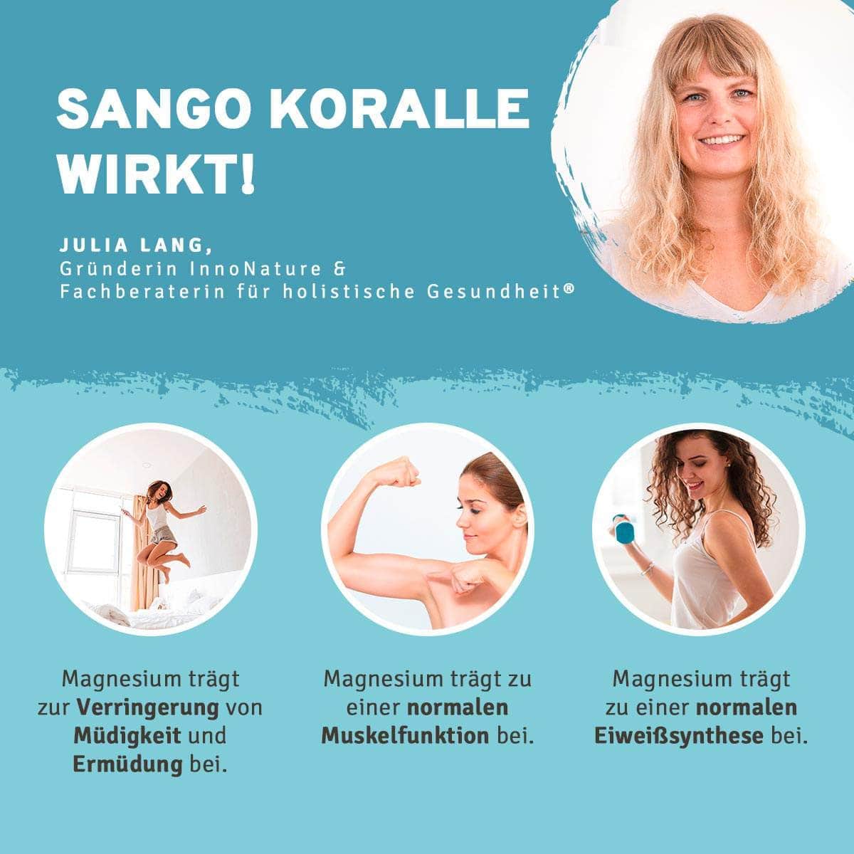 InnoNature Pakete 1x Vorrat (1x Protein Shake, 1x B Komplex, 1x Zink, 1x Sango Koralle, 1x Omega 3) Aktiv-Paket